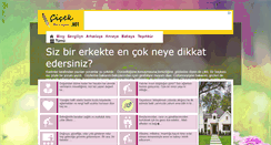 Desktop Screenshot of cicekmesajlari.net